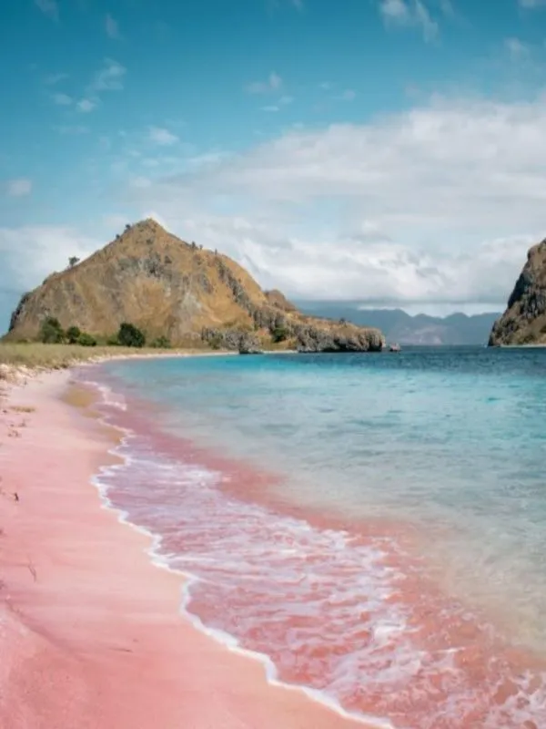 Pantai Pink Lombok
